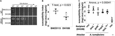 A High-Throughput Interbacterial Competition Screen Identifies ClpAP in Enhancing Recipient Susceptibility to Type VI Secretion System-Mediated Attack by Agrobacterium tumefaciens